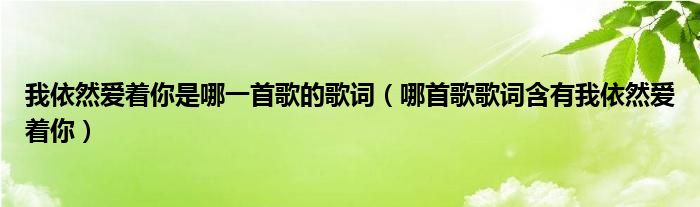 我依然爱着你是哪一首歌的歌词(哪首歌歌词含有我依然爱着你)