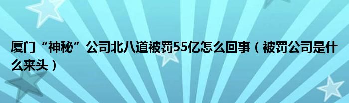 厦门“神秘”公司北八道被罚55亿怎么回事(被罚公司是什么来头)