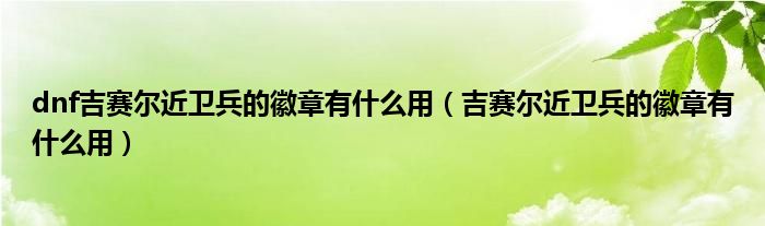 dnf吉赛尔近卫兵的徽章有什么用(吉赛尔近卫兵的徽章有什么用)