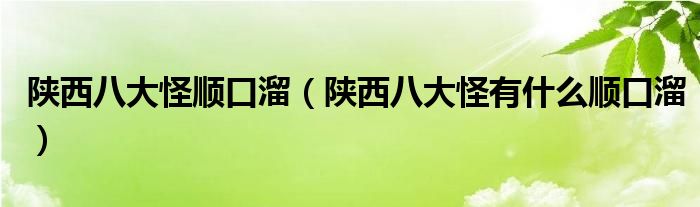 陕西八大怪顺口溜(陕西八大怪有什么顺口溜)