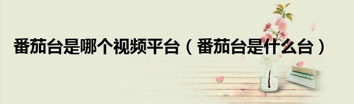 番茄台是哪个视频平台(番茄台是什么台)