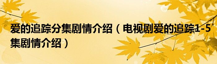 爱的追踪分集剧情介绍(电视剧爱的追踪1-5集剧情介绍)