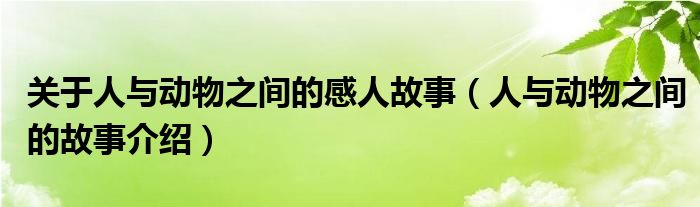 关于人与动物之间的感人故事(人与动物之间的故事介绍)
