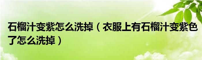 石榴汁变紫怎么洗掉(衣服上有石榴汁变紫色了怎么洗掉)