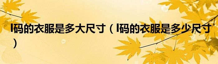 l码的衣服是多大尺寸(l码的衣服是多少尺寸)