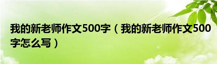 我的新老师作文500字(我的新老师作文500字怎么写)