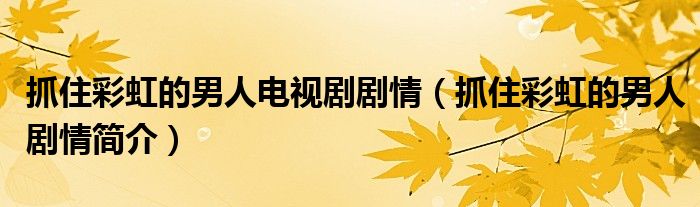 抓住彩虹的男人电视剧剧情(抓住彩虹的男人剧情简介)