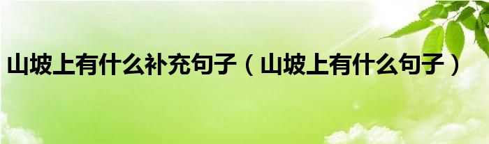 山坡上有什么补充句子(山坡上有什么句子)