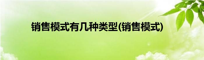 销售模式有几种类型(销售模式)