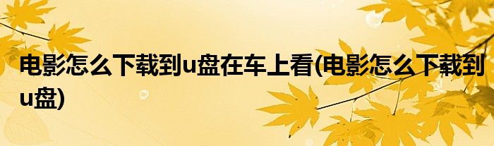 电影怎么下载到u盘在车上看(电影怎么下载到u盘)