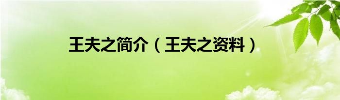 王夫之简介(王夫之资料)