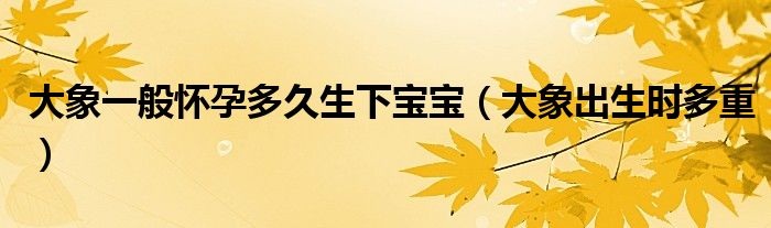大象一般怀孕多久生下宝宝(大象出生时多重)