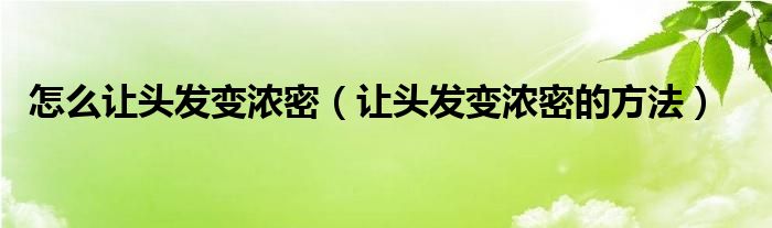 怎么让头发变浓密(让头发变浓密的方法)