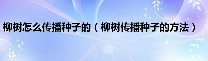 柳树怎么传播种子的(柳树传播种子的方法)