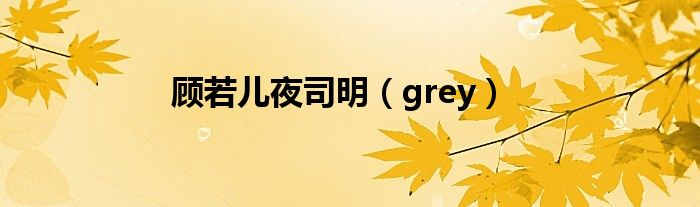 顾若儿夜司明（grey）