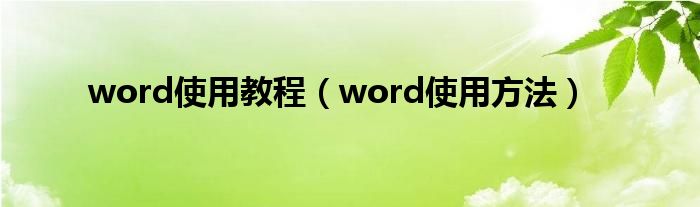 word使用教程(word使用方法)