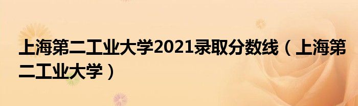 上海第二工业大学2021录取分数线(上海第二工业大学)