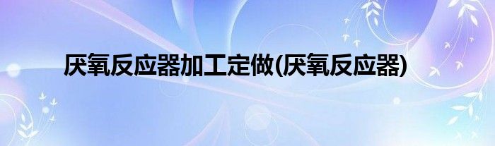厌氧反应器加工定做(厌氧反应器)