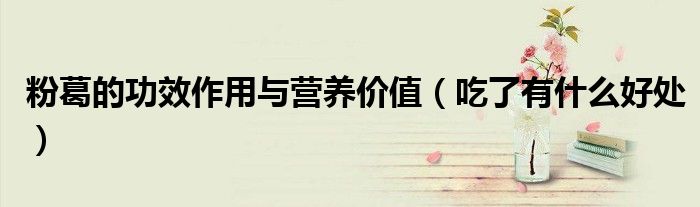 粉葛的功效作用与营养价值(吃了有什么好处)