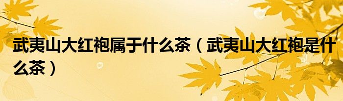 武夷山大红袍属于什么茶(武夷山大红袍是什么茶)
