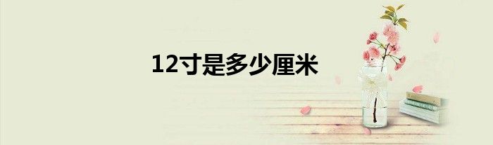 12寸是多少厘米