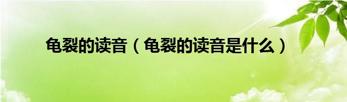 龟裂的读音(龟裂的读音是什么)