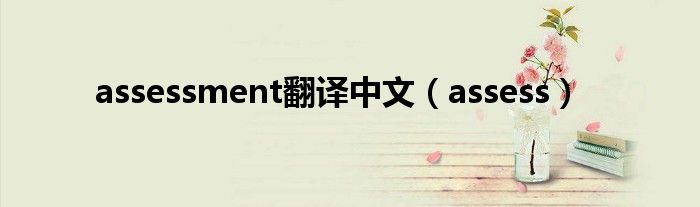 assessment翻译中文(assess)