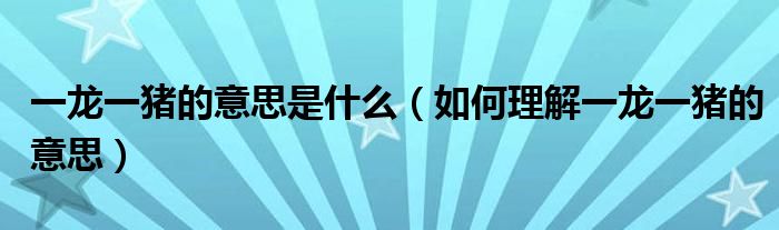 一龙一猪的意思是什么(如何理解一龙一猪的意思)