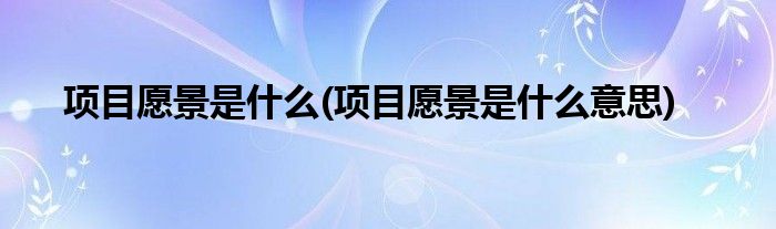 项目愿景是什么(项目愿景是什么意思)