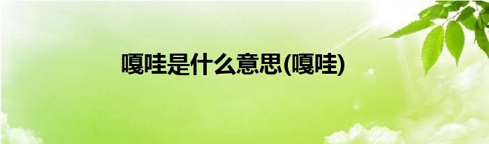 嘎哇是什么意思(嘎哇)