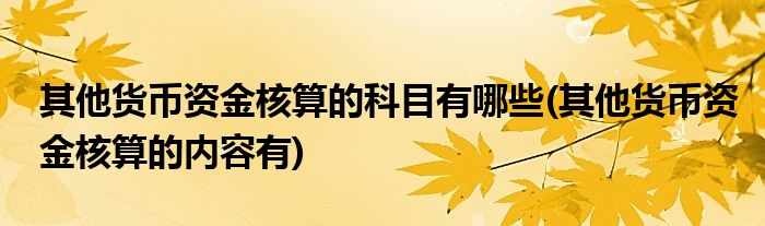 其他货币资金核算的科目有哪些(其他货币资金核算的内容有)