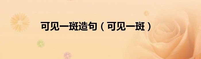 可见一斑造句（可见一斑）