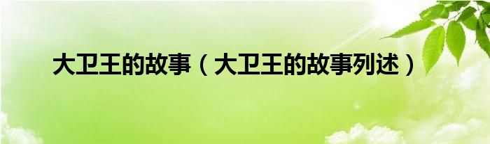 大卫王的故事(大卫王的故事列述)