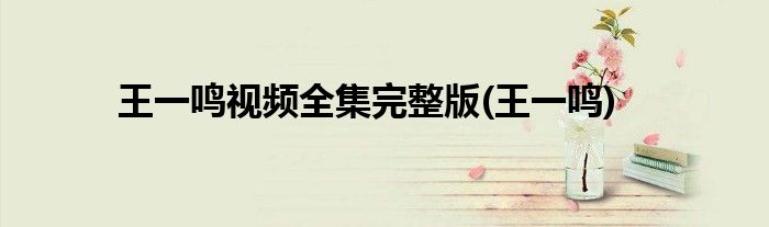王一鸣视频全集完整版(王一鸣)