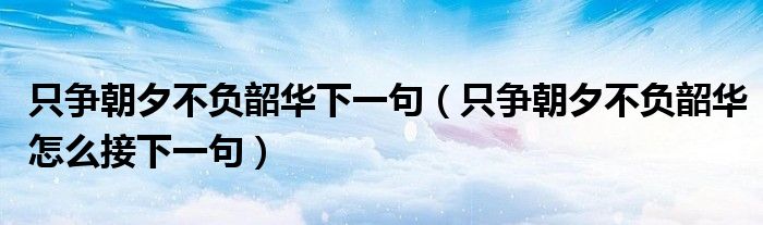 只争朝夕不负韶华下一句(只争朝夕不负韶华怎么接下一句)
