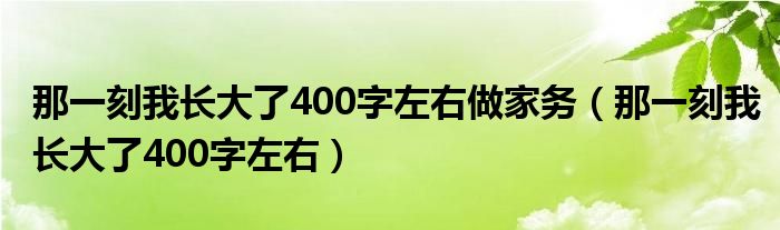那一刻我长大了400字左右做家务(那一刻我长大了400字左右)