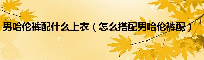 男哈伦裤配什么上衣(怎么搭配男哈伦裤配)