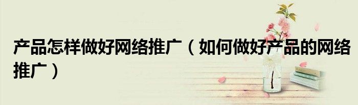 产品怎样做好网络推广(如何做好产品的网络推广)