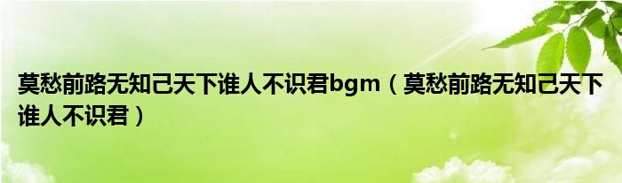 莫愁前路无知己天下谁人不识君bgm(莫愁前路无知己天下谁人不识君)