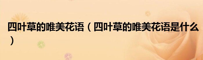 四叶草的唯美花语(四叶草的唯美花语是什么)