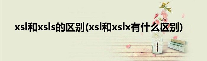 xsl和xsls的区别(xsl和xslx有什么区别)
