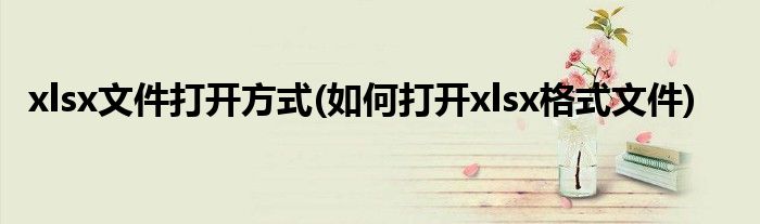 xlsx文件打开方式(如何打开xlsx格式文件)