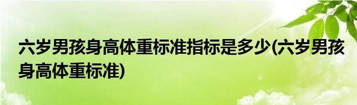 六岁男孩身高体重标准指标是多少(六岁男孩身高体重标准)