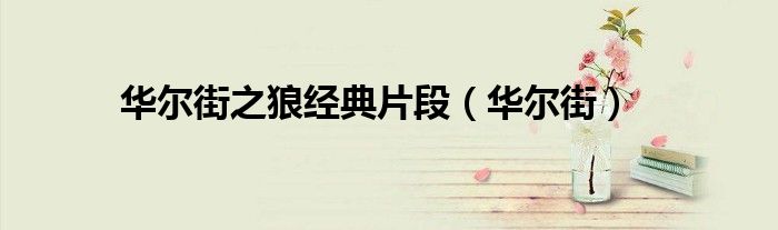 华尔街之狼经典片段（华尔街）