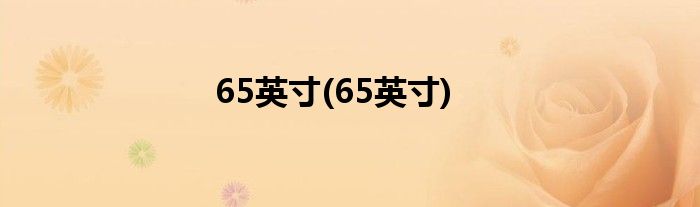 65英寸(65英寸)
