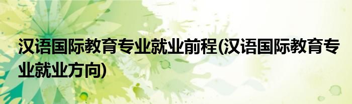 汉语国际教育专业就业前程(汉语国际教育专业就业方向)