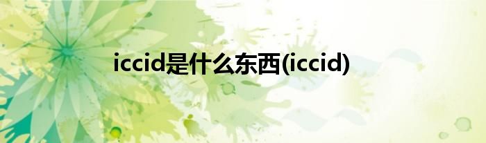 iccid是什么东西(iccid)