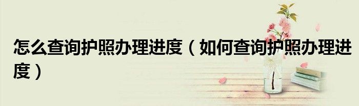 怎么查询护照办理进度(如何查询护照办理进度)