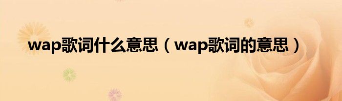 wap歌词什么意思(wap歌词的意思)