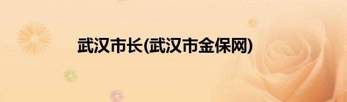 武汉市长(武汉市金保网)